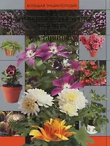 Все о комнатных растениях, цветах, декоративных кустарниках