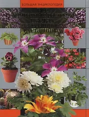 Все о комнатных растениях, цветах, декоративных кустарниках
