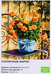 Картина по номерам Солнечные жарки (N041) (30х40 см) (24цв.) (коробка) (Art idea)