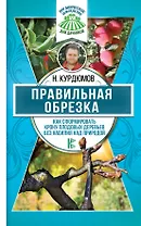 Правильная обрезка. Как сформировать крону плодовых деревьев без насилия над природой