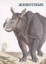 Животные. Набор открыток