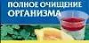 Полное очищение организма