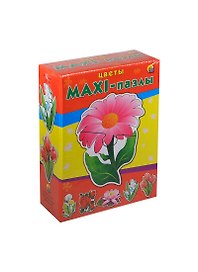 Пазл «Цветы» 6 картинок, макси-пазлы, Рыжий Кот
