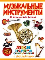 Музыкальные инструменты