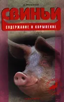 Свиньи. содержание и кормление.