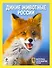 Дикие животные России (на суперобложке "Удивительные животные России") - 0