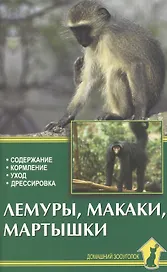 Лемуры,макаки,мартышки