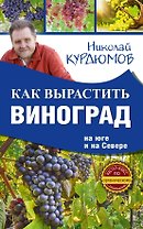 Как вырастить виноград на Юге и на Севере
