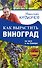 Как вырастить виноград на Юге и на Севере - 0