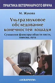 Ультразвуковое обследование конечностей лошади. Сухожилия флексоры области пясти, плюсны, пута.