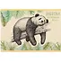 Альбом для рисования Listoff, "Панда", А4, 40 листов, на скрепке - 0