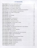 Приключения Незнайки и его друзей - 1
