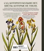 Флорилегия. Легендарные шедевры ботанической иллюстрации XVII века - 1