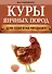 Куры яичных пород (нов.оф.) - 0