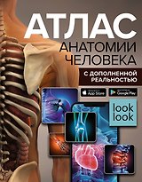 Атлас анатомии человека с дополненной реальностью