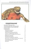Красноухая и другие водные черепахи - 2