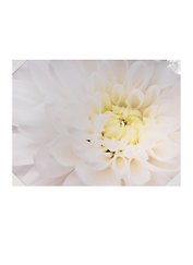 Картина (40х50) (740-258)