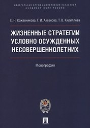 Жизненные стратегии условно осужденных несовершеннолетних. Монография