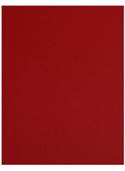 Бумага цветная 50*65 "Iris Vivaldi" Красный