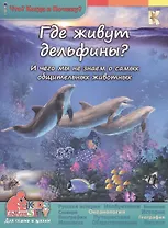 Где живут дельфины? И чего мы не знаем о самых общительных животных
