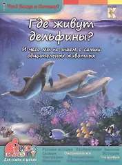 Где живут дельфины? И чего мы не знаем о самых общительных животных