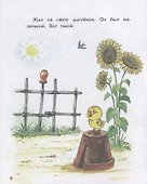 Цыплёнок. Так и не так - 1
