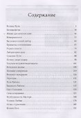 Огонь стремления. Книга о суфийской Работе - 1
