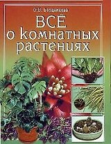 Все о комнатных растениях