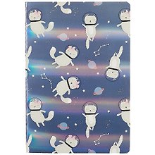Тетрадь общая «Astro cats», 32 листа в клетку, А5