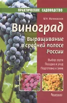 Виноград.Выращивание в средней полосе России.Выбор сорта.Посадка и уход.Подготовка к зиме