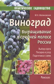 Виноград.Выращивание в средней полосе России.Выбор сорта.Посадка и уход.Подготовка к зиме