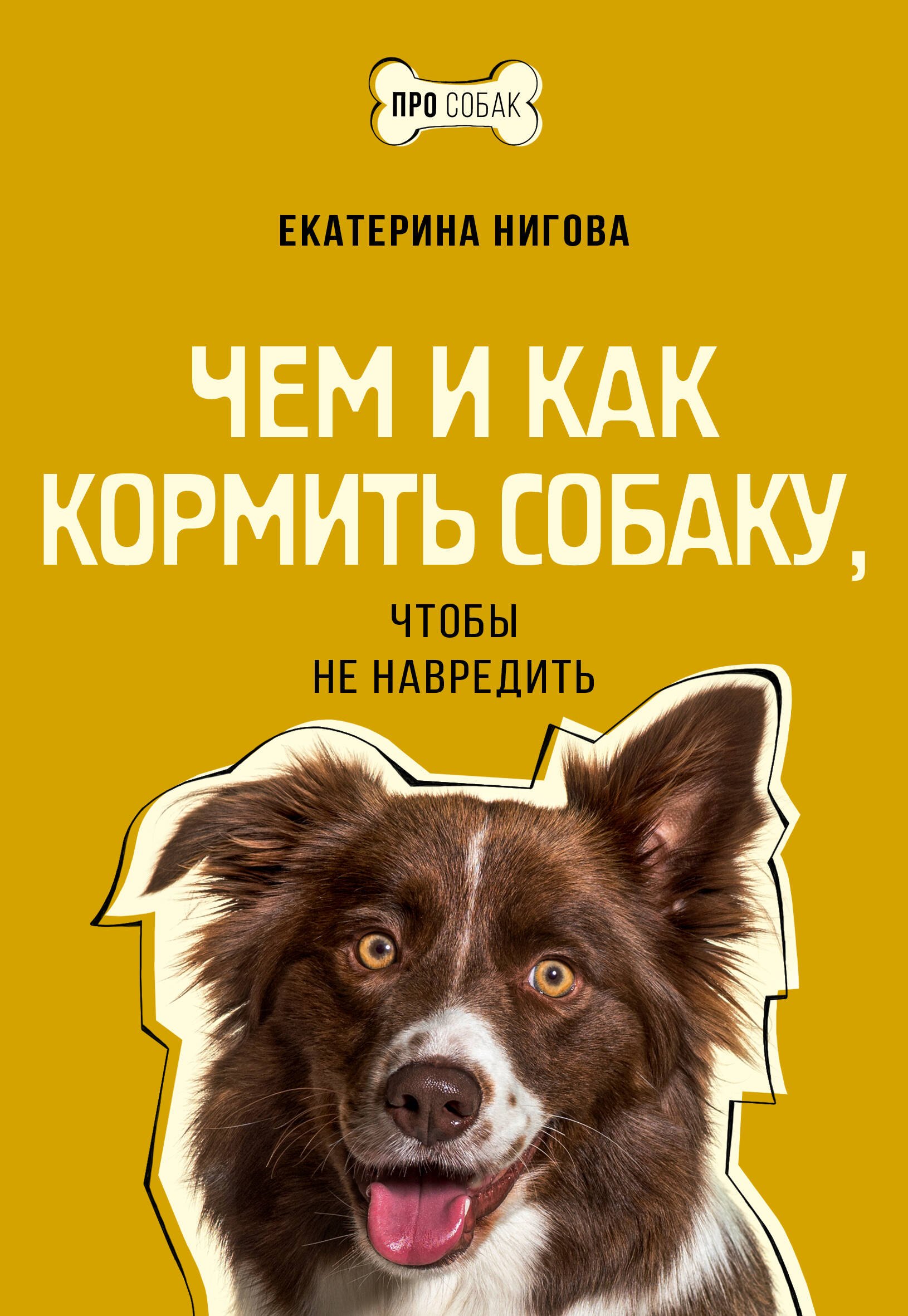   Буквоед Чем и как кормить собаку, чтобы не навредить