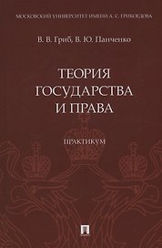 Теория государства и права. Практикум