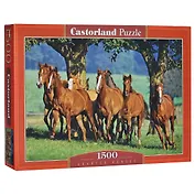 ЧГ:2248280 Пазл 1500 С-150748 Лошади (Castorland)