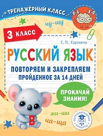 Русский язык. Повторяем и закрепляем пройденное в 3 классе за 14 дней