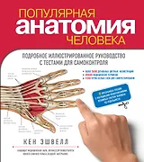 Популярная анатомия человека. Подробное иллюстрированное руководство с тестами для самоконтроля