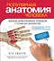 Популярная анатомия человека. Подробное иллюстрированное руководство с тестами для самоконтроля - 0