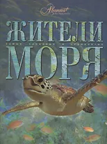 Самые красивые жители моря
