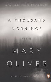 A Thousand Mornings