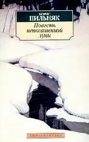 Повесть непогашенной луны