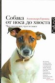 Собака от носа до хвоста: что она видит, чует и знает - 0