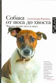 Собака от носа до хвоста: что она видит, чует и знает