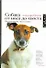 Собака от носа до хвоста: что она видит, чует и знает - 0