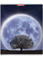 Тетрадь в клетку Academy Style, "Фантастическая Луна", 80 листов