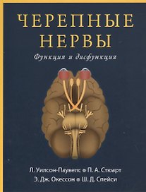 Черепные нервы. Функция и дисфункция