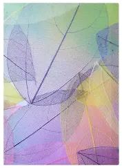 Папка 20ф А4 "Листья"