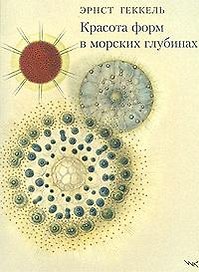 Красота форм в морских глубинах