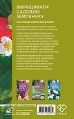 Выращиваем садовую землянику. Настольный справочник дачника - 1