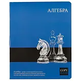 Тетрадь предметная в клетку Феникс+, "Алгебра", 48 листов