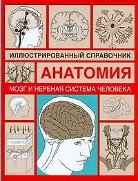 Анатомия.Мозг и нервная система человека: Иллюстрированный справочник